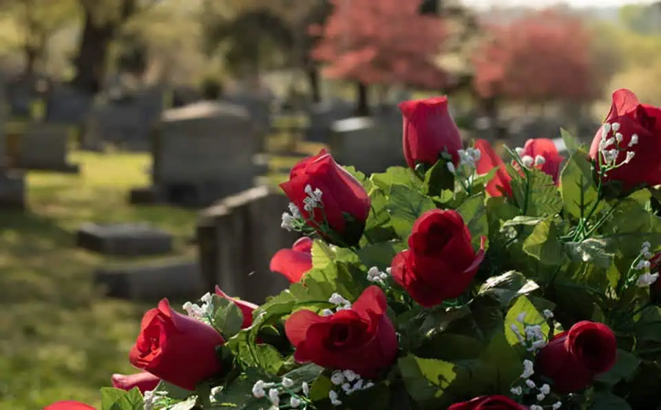 Red roses and greenery in a cemetery setting with headstones in the background.
