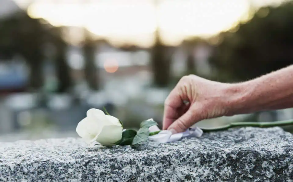 A white rose placed on a granite tombstone at sunset.