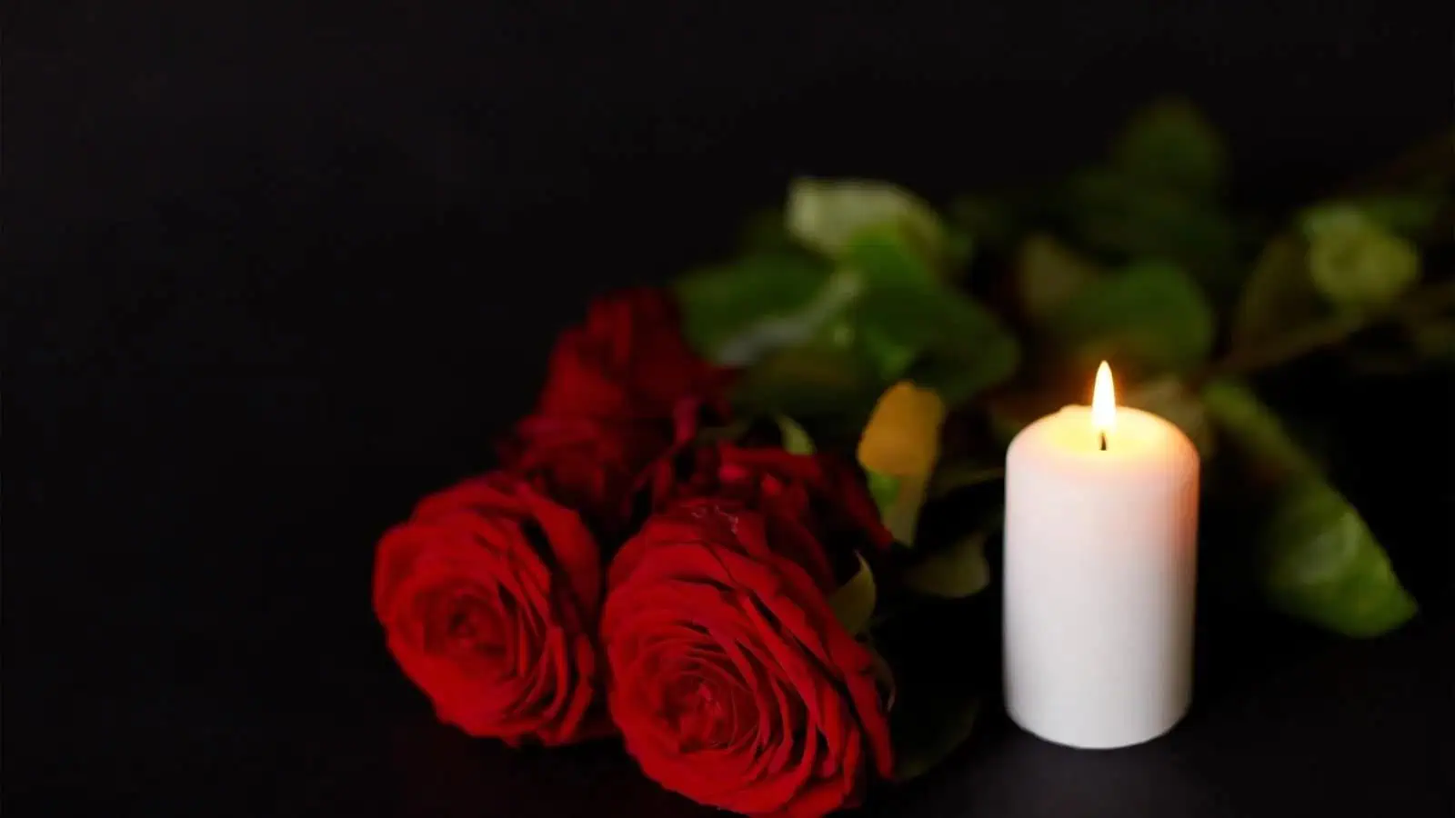 Red roses and a lit white candle on a dark background.