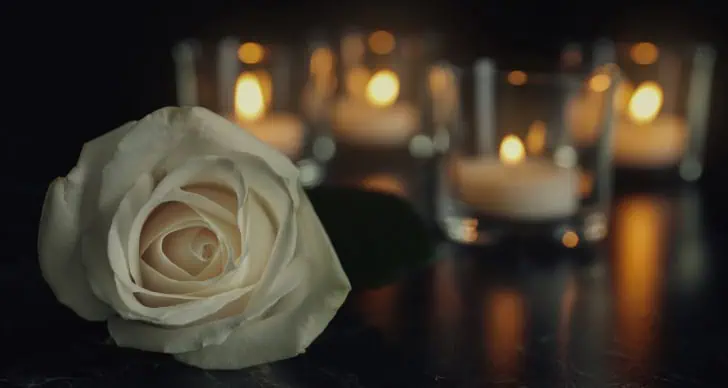 White rose with candles in glass holders on a dark surface.